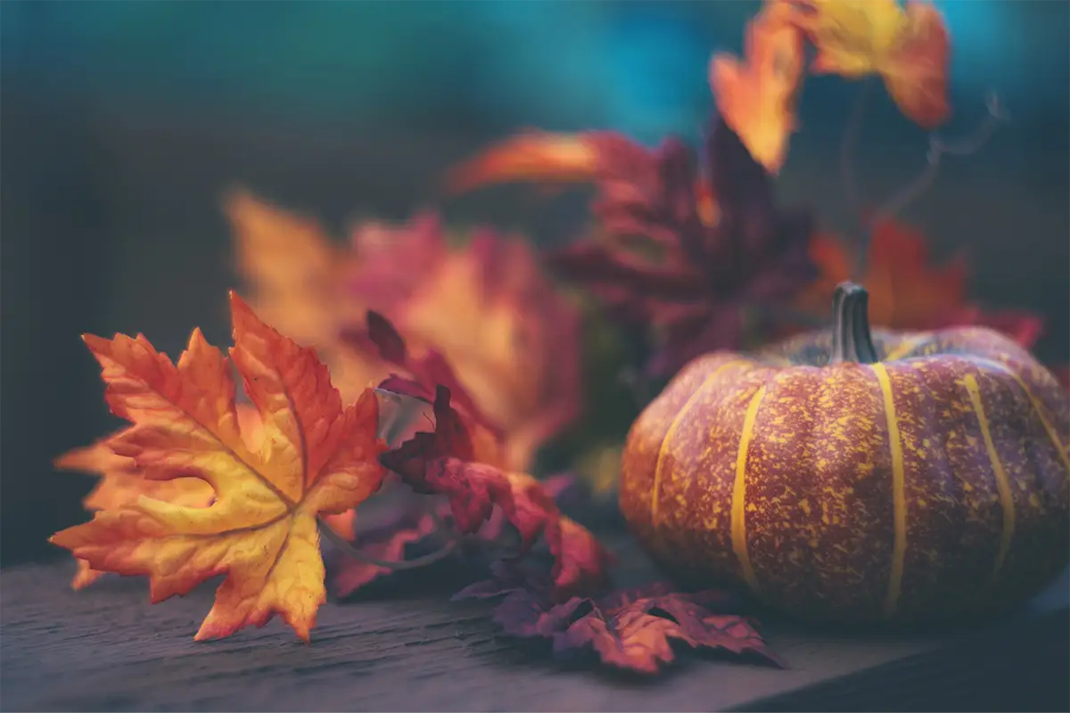 Harvest Party